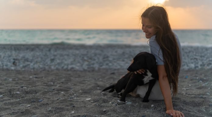 Vacations Are Simply What the Doctor Ordered