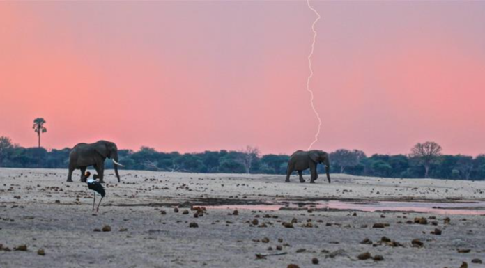Challenging Misconceptions of Zimbabwe Safaris